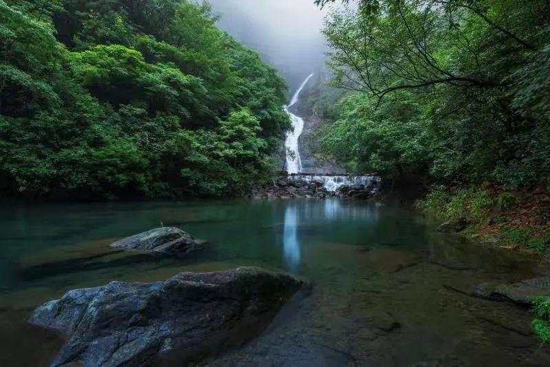 选货就像开盲盒,水果人经历车厘子季“期末大考”