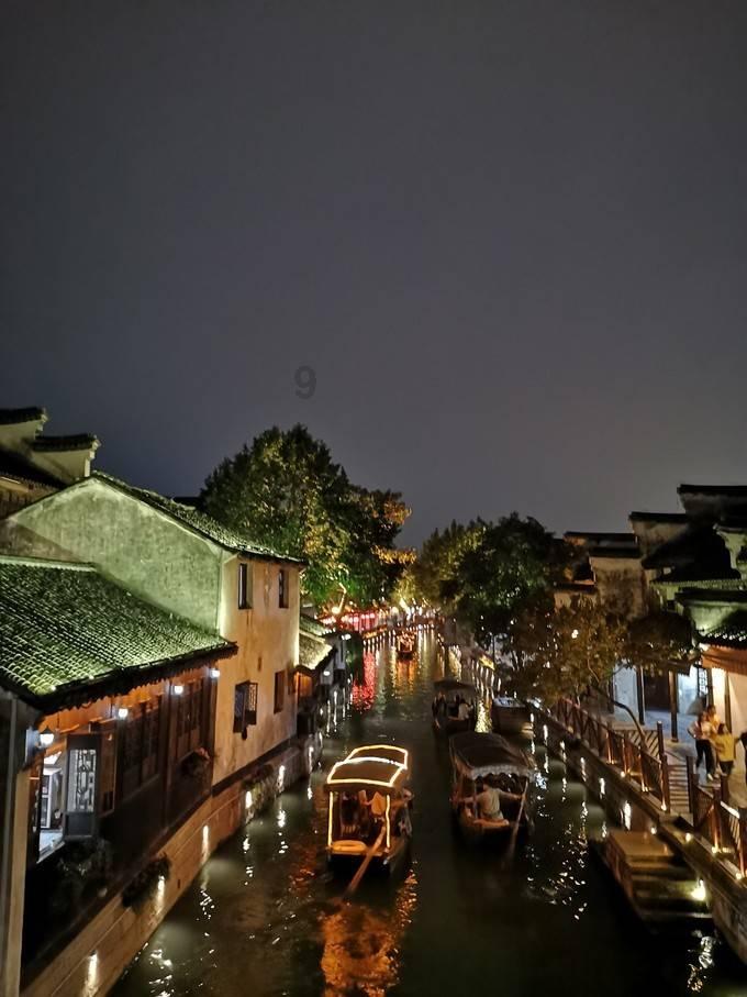 五彩鹦鹉救援